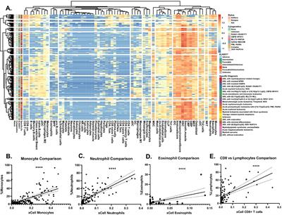 Immune cell proportions correlate with clinicogenomic features and ex vivo drug responses in acute myeloid leukemia